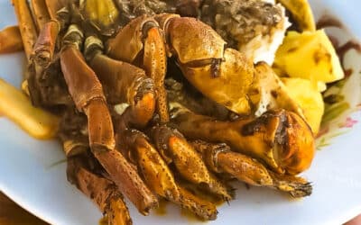 Pâques à la Martinique : Tradition et Festin avec le matoutou de crabes